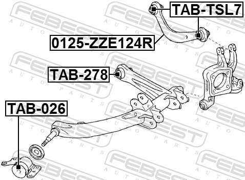 Control/Trailing Arm, wheel suspension 0125-ZZE124R