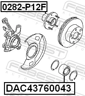 FEBEST DAC43760043 Wheel Bearing