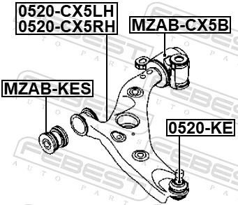 Control/Trailing Arm, wheel suspension 0524-CX5RH
