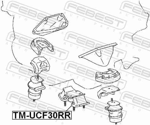 FEBEST TM-UCF30RR Mounting, engine