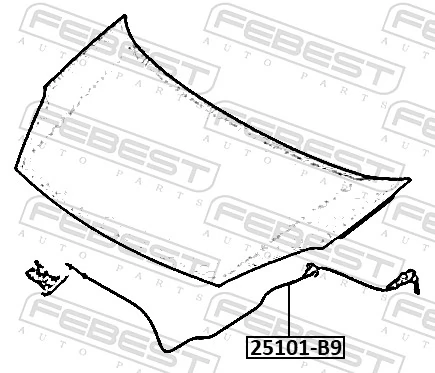 Bonnet Cable 25101-B9