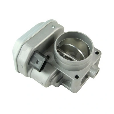 Throttle Body 33106