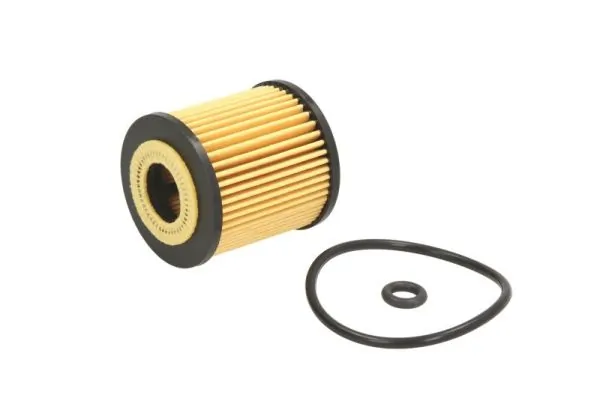 Oil Filter B1M004PR