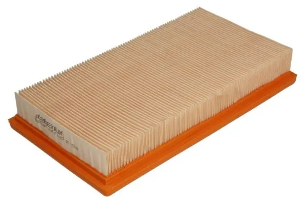 Air Filter B20314PR