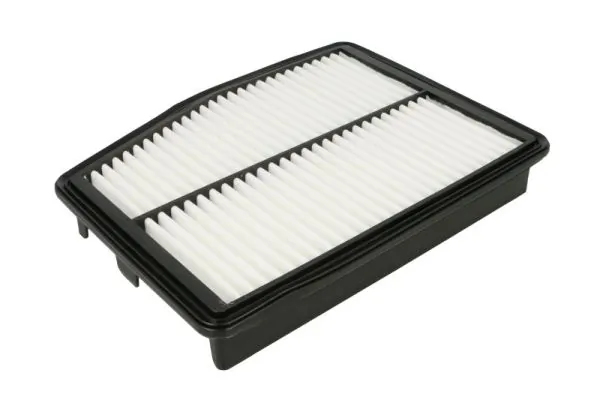 Air Filter B20343PR