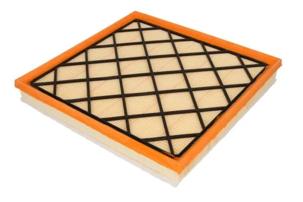 Air Filter B20031PR