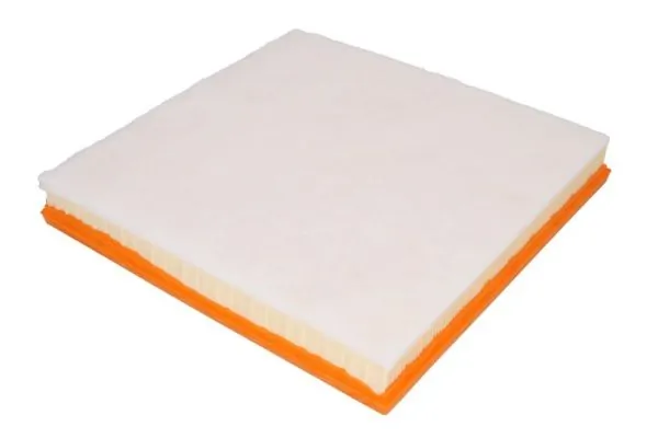 Air Filter B20031PR