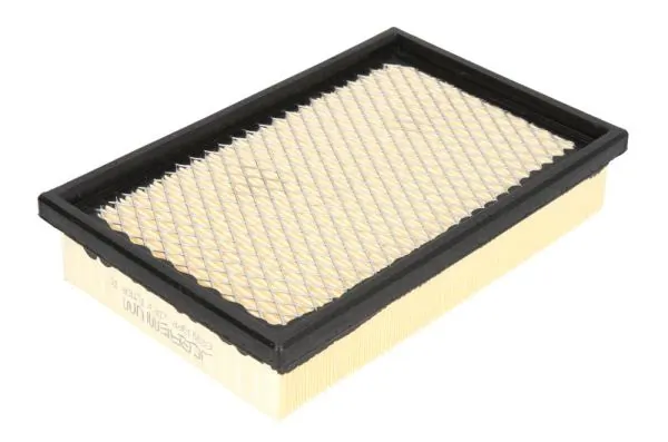 Air Filter B29913PR
