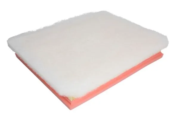 Air Filter B2X057PR