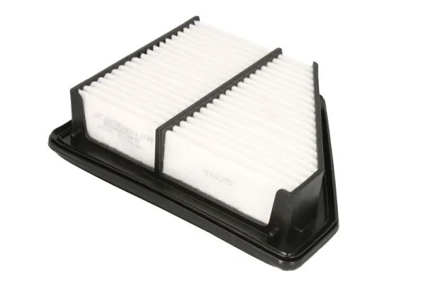 Air Filter B24079PR