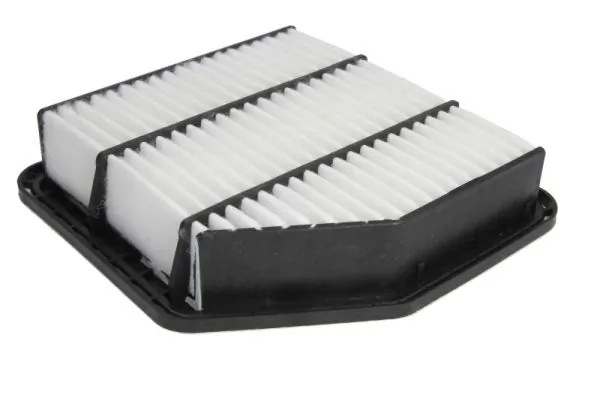 Air Filter B22100PR