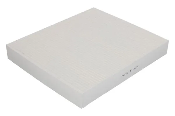 Filter, udara interior B40317PR