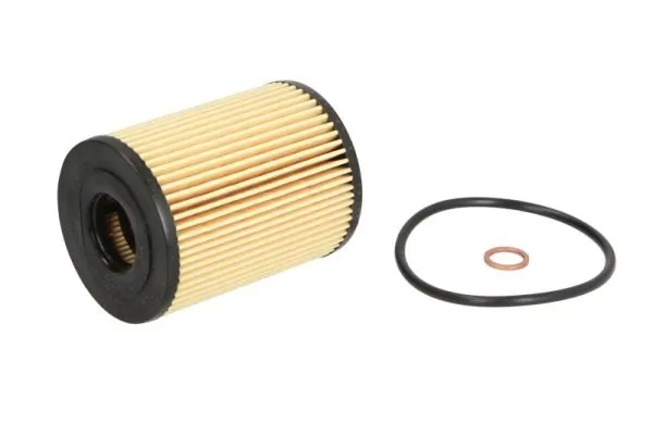 Oil Filter B10006PR