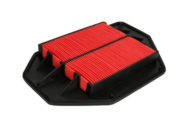 Air Filter B24055PR