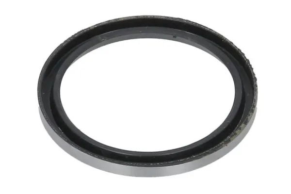 Seal Ring, steering knuckle B06-2201