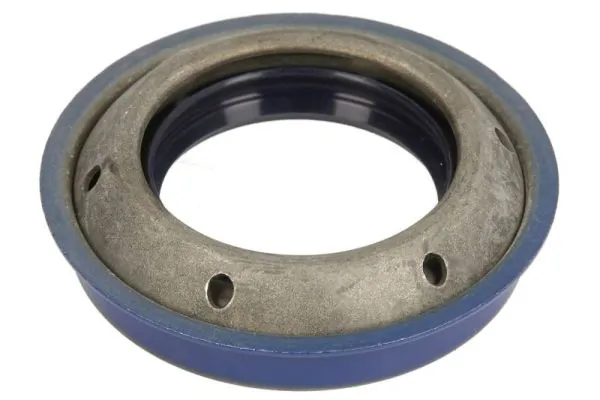 Shaft Seal, differential G30001BTA