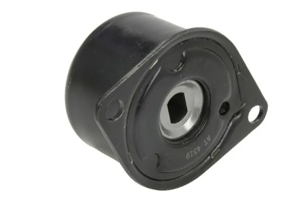 Tensioner Lever, V-ribbed belt E3W0007BTA