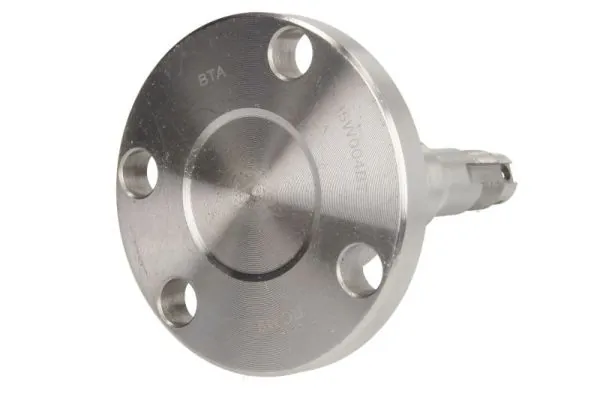 Stub Axle, axle beam H5W004BTA