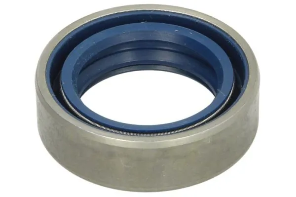 BTA B05-AG-328 Gasket, differential