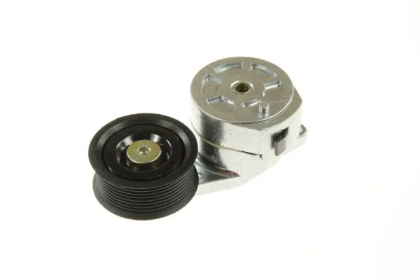 Belt Tensioner, V-ribbed belt B05-01-010