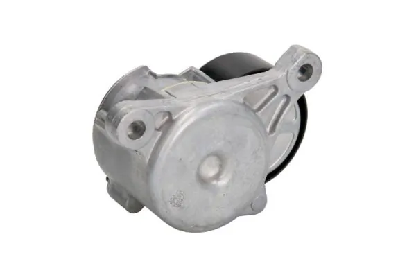 Tensioner Lever, V-ribbed belt E3C0016BTA