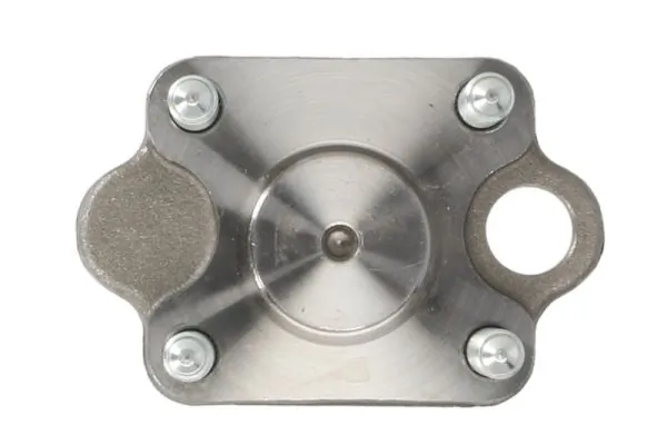 Wheel Bearing Kit H50004BTA