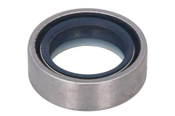 BTA B05-AG-363 Gasket, differential