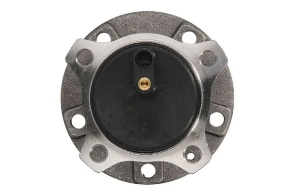 Wheel Bearing Kit H2C053BTA