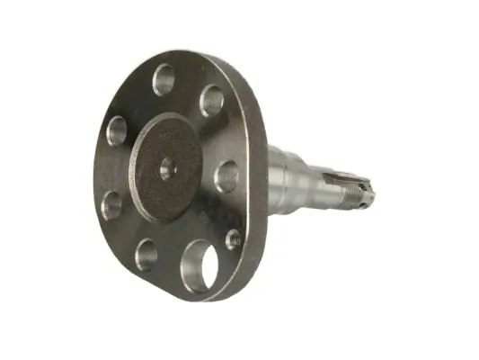 Steering Knuckle, wheel suspension H5W028BTA