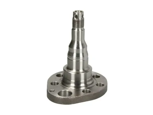 Steering Knuckle, wheel suspension H5W028BTA