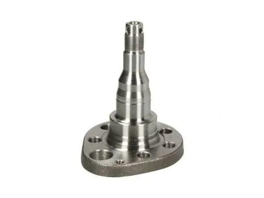 Steering Knuckle, wheel suspension H5W027BTA