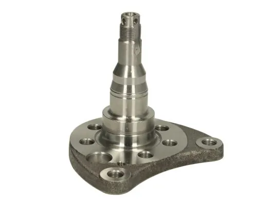 Steering Knuckle, wheel suspension H5W008BTA