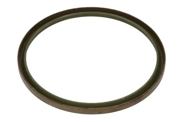BTA B06-2247 Seal, spring link