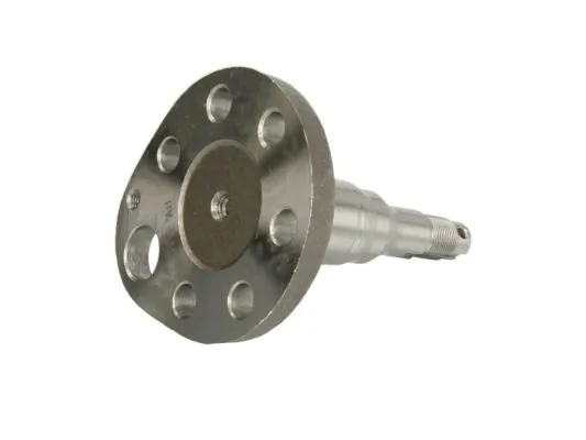 Steering Knuckle, wheel suspension H5W027BTA