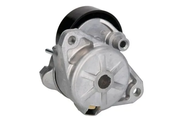 Tensioner Lever, V-ribbed belt E3M0002BTA