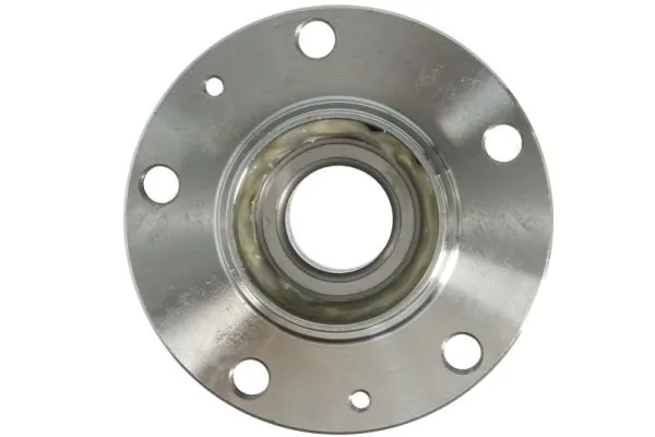 Wheel Bearing Kit H2P019BTA