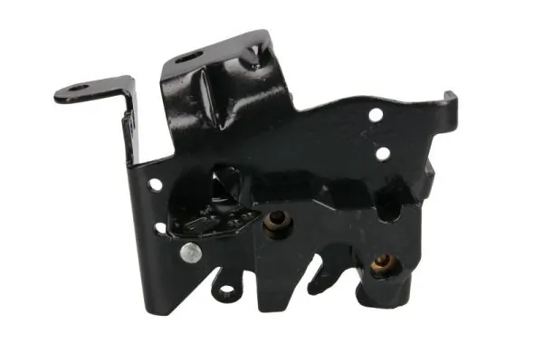 PACOL SCA-FP-025L Holder, radiator grille