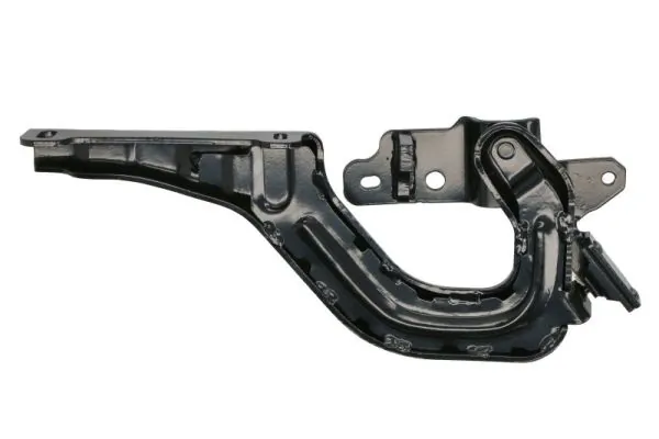 PACOL RVI-FP-028L Holder, radiator grille