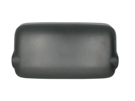PACOL MAN-MR-029 Exterior Mirror
