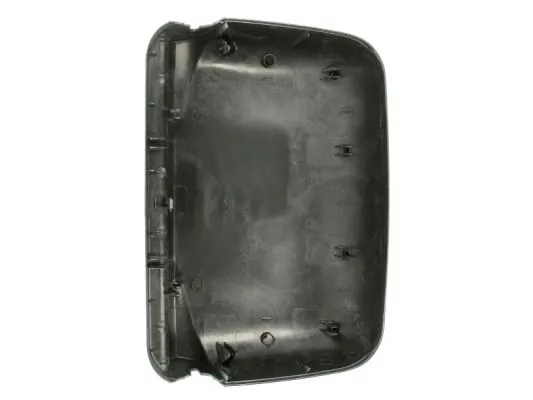 PACOL RVI-MR-005 Housing, exterior mirror