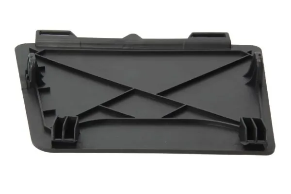 PACOL RVI-SP-024L Foot/Running Board
