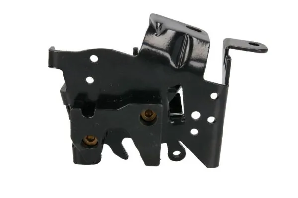 PACOL SCA-FP-025R Holder, radiator grille