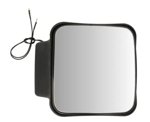 PACOL RVI-MR-010 Exterior Mirror