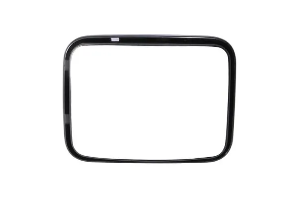 PACOL DAF-MR-005 Exterior Mirror