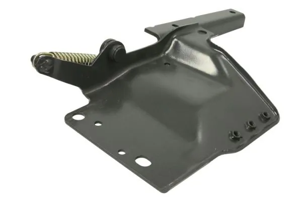 PACOL BPD-SC025L Holder, radiator grille