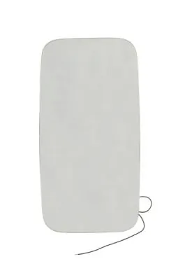 Verre de rétroviseur, rétroviseur extérieur DAF-MR-030