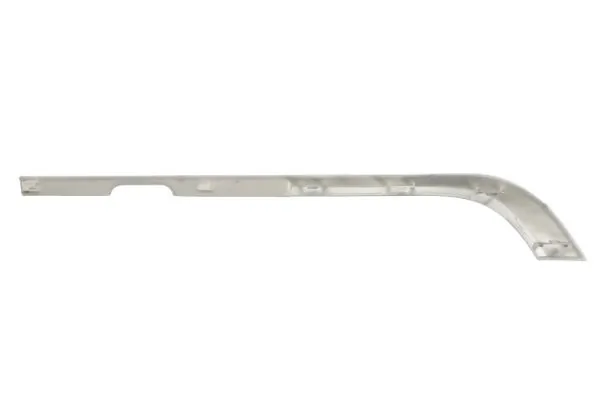 PACOL DAF-FB-067R Trim/Protection Strip, bumper