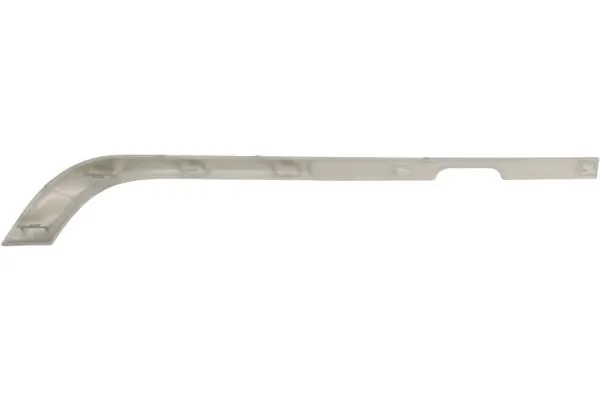 PACOL DAF-FB-067L Trim/Protection Strip, bumper