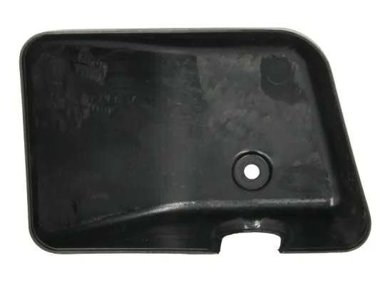 PACOL MAN-MR-022L Cover, exterior mirror
