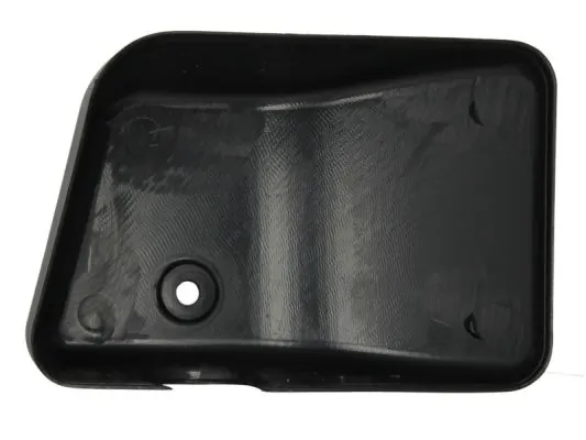 PACOL MAN-MR-022R Cover, exterior mirror